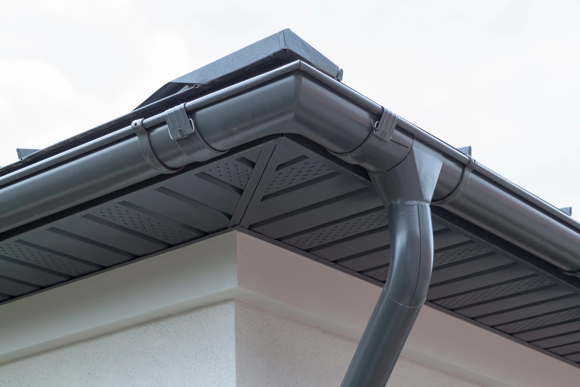 Can You Stop Rodents Returning? It Depends on Your Property