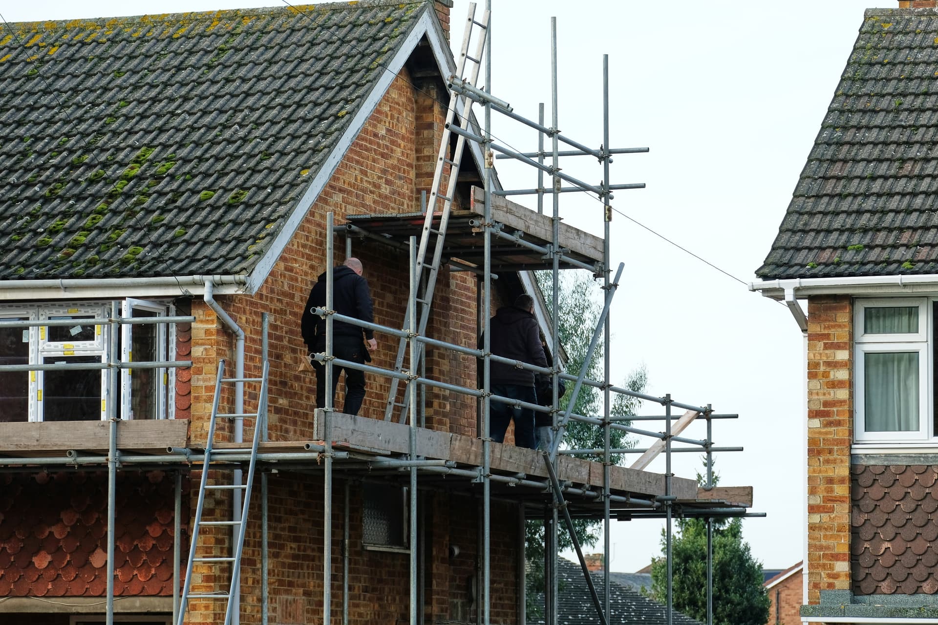 Will Bird Proofing Damage Your Property? What It Depends On