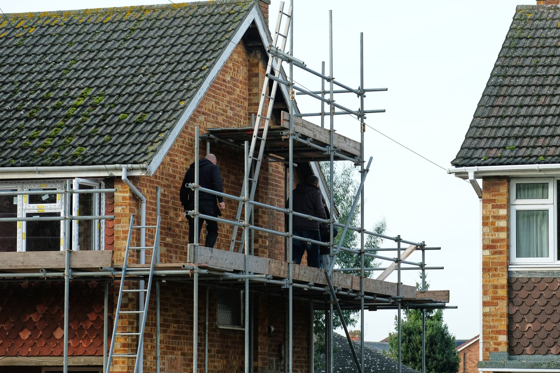 Will Bird Proofing Damage Your Property? What It Depends On