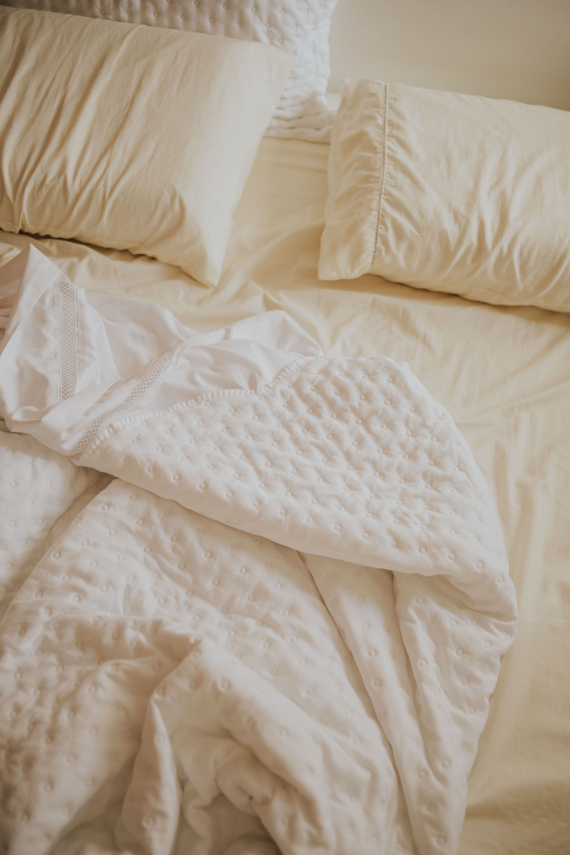 Bed Bug Pest Control Specialists