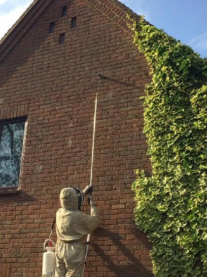 Domestic pest control